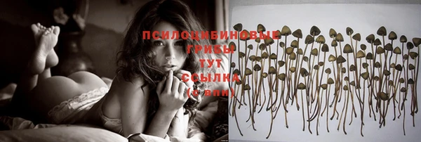 ПСИЛОЦИБИНОВЫЕ ГРИБЫ Балахна