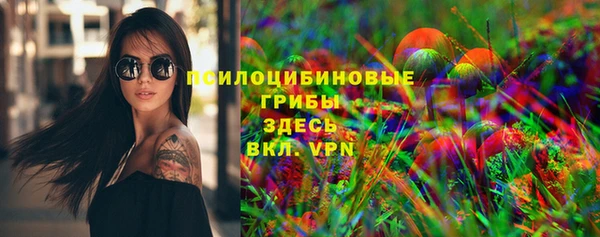 Альфа ПВП Богородицк