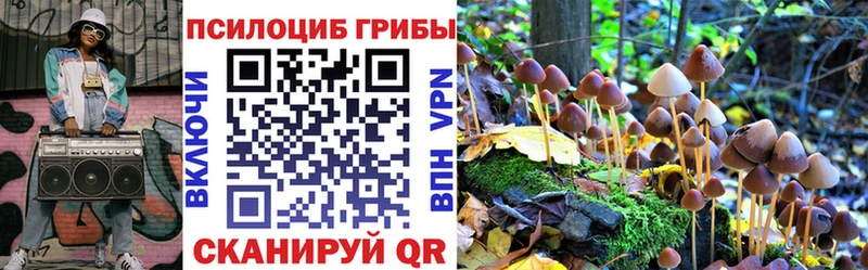 сколько стоит KRAKEN ссылки Галлюциногенные грибы прущие грибы Вуктыл
